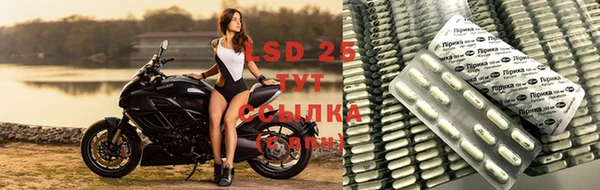 мяу мяу мука Алзамай