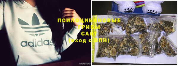 герыч Алексеевка